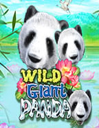 เครดิตฟรี 50 ไม่ต้องฝาก ไม่ต้องแชร์ 2021: โอกาสดีที่ไม่ควรพลาด